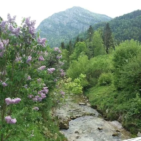Apartment In Den Bayerischen Alpen, Fuer Naturliebhaber Schneizlreuth
