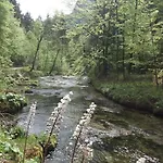 In Den Bayerischen Alpen, Fuer Naturliebhaber Lägenhet *
