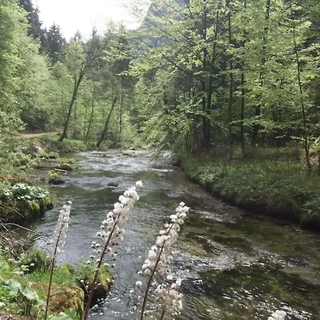 In Den Bayerischen Alpen, Fuer Naturliebhaber Apartman *